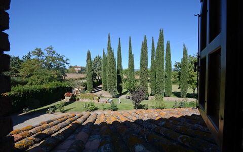 La Magia 8+2: Struik, Tuin, Landscaping, Evergreen, Pine Family, Haag