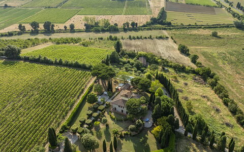 Villa la Monarca 16