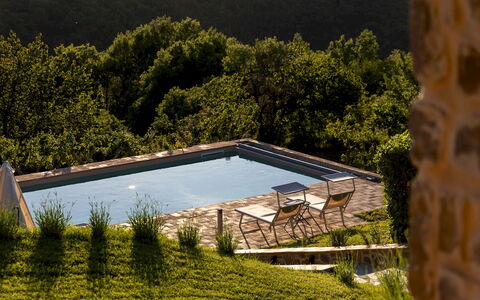 Poggio delle Lumie 6: Zwembad, Buitenmeubels, Tuin, Ligstoel, Landscaping, Backyard, Eco Hotel, Chaise Longue, Boerderij, Villa
