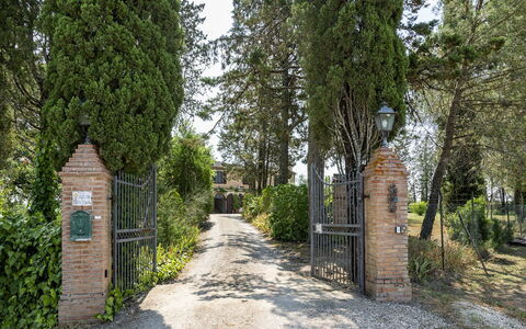 Podere Casanovina 12: Struik, Tuin, Poort, Landgoed, Oprit, Landscaping, Hacienda, Evergreen, Hek