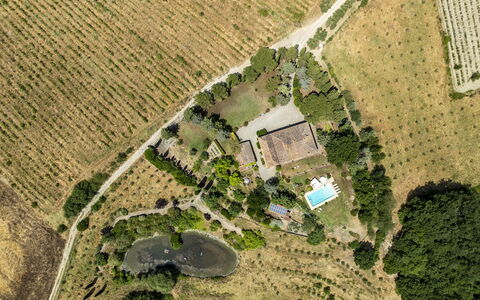 Podere Casanovina 12: Boom, Landschap, Vogelperspectief, Woongebied, Luchtfotografie, Landelijk Gebied, Zwembad, Landgoed, Plantage, Landscaping