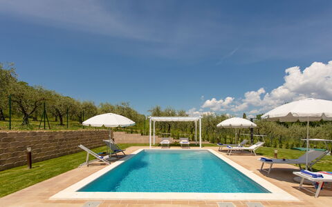 La Collina degli Ulivi 8+2: Zwembad, Buitenmeubels, Toevlucht, Ligstoel, Tuin, Eco Hotel, Thermae, Landscaping, Landgoed, Hacienda