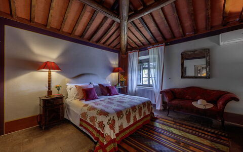 Case Novole 10