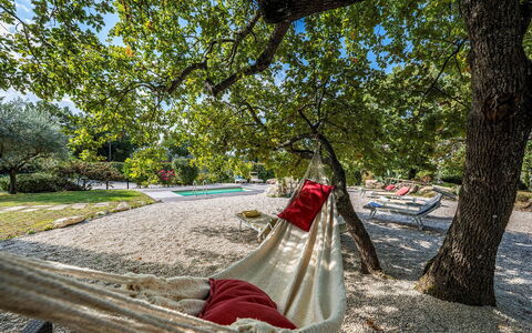 Villa Sparta 8+2: Afdeling, Trunk, Vrije Tijd, De Lente, Schaduw, Zonlicht, Tuin, Park, Vakantie, Schaduw