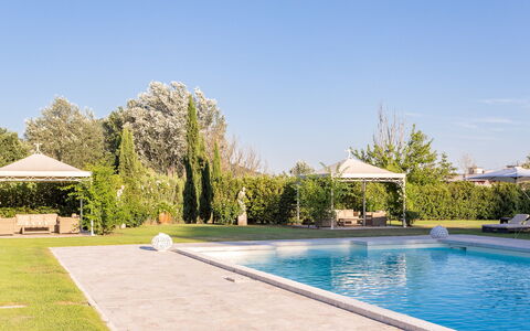 Villa Ginevra 12: Zwembad, Vrije Tijd, Schaduw, Toevlucht, Tuin, Landscaping, Gazon, Buitenmeubels, Werf, Landgoed