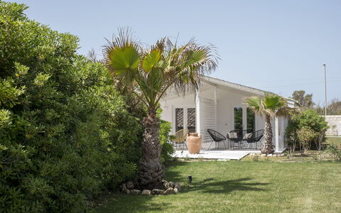 Baia L'Aura 8: Struik, Huis, Huis, Verblijf, Tuin, Schaduw, Landscaping, Woody Plant, Landgoed