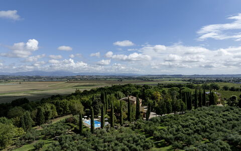 La Burraia 18: Boom, Natuur, Vegetation, Landschap, Land Lot, Plain, Plantage, Vogelperspectief, Luchtfotografie, Landscaping