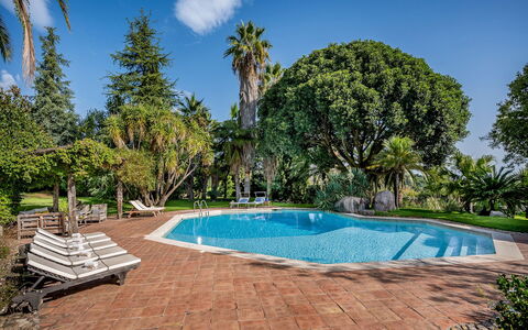 Linera 10: Zwembad, Boom, Toevlucht, Schaduw, Eco Hotel, Tuin, Landscaping, Landgoed, Hacienda