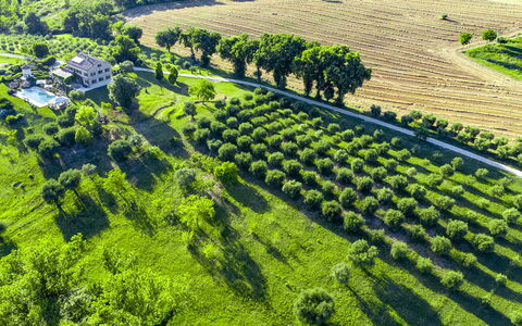 Casa Sant'Elia 7+3: Landschap, Landelijk Gebied, Plain, Land Lot, Landbouw, Plantage, Veld, Heuvel Station, Weide, Boerderij