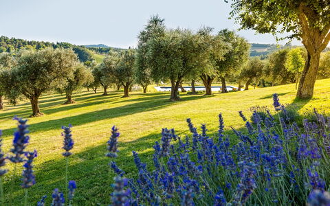 Casa Eugenia 8: Blauw, Groen, Natuurlijk Landschap, Grasland, Landschap, Plain, Weide, Veld, Groundcover