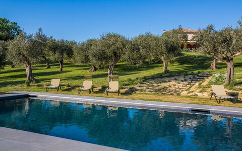 Casa Eugenia 8: Blauw, Zwembad, Tuin, Landgoed, Landscaping, Villa, Hacienda