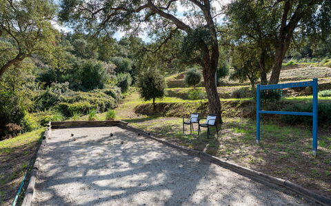 Villa Perelle 8: Boom, Openbare Ruimte, Recreatie, Vrije Tijd, Schaduw, Park, Bodem, Trail, Bos