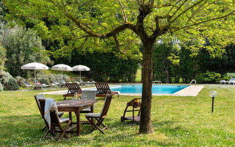 Villa delle Silerchie 10