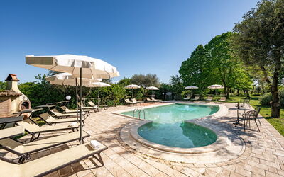 Sangiovese 14