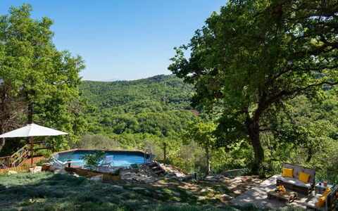 Cottage Dolcevista 4+2: Boom, Zwembad, Woud, Vrije Tijd, Tuin, Schaduw, Eco Hotel, Jungle, Vakantie