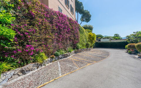 La Scogliera di Sori 5+1: Struik, Roze, Groundcover, Tuin, Stoep, De Lente, Haag, Landscaping, Gang, Botanische Tuin