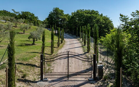 Villa Mamon 6+2: Struik, Poort, Hek, Tuin, Trail, Landscaping, Gang, Home Schermen, Oprit, Park