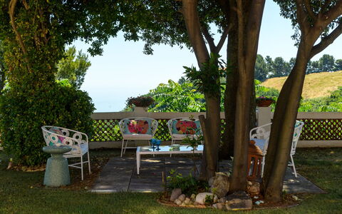 Villa Fiola 8: Groen, Meubilair, Tuin, Zomer, Struik, Buitenmeubels, Gazon, De Lente, Schaduw