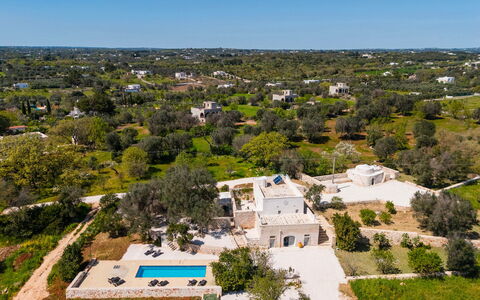 Masseria Grotta Antica 6+2: Boom, Landschap, Landgoed, Vogelperspectief, Landscaping, Luchtfotografie, Zwembad, Villa, Hacienda, Plantage