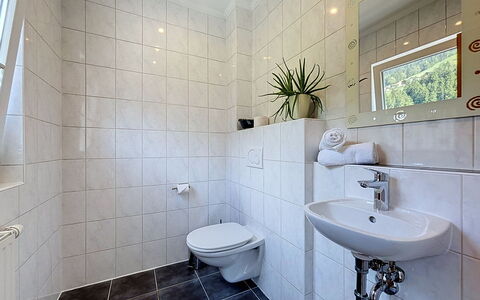 Ferienhaus Siegele: Flooring, Loodgieterswerkinrichting, Interieur Ontwerp, Badkamer, Verdieping, Loodgieter, Wastafel, Kraan, Tegel, Wastafel In De Badkamer