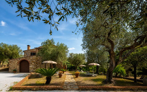 Casale le Lupe Apartments: Tuin, Landgoed, Hacienda, Landscaping, Boerderij, Werf, Villa, Schaduw, Backyard, Oprit