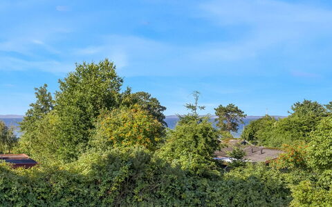 Kora - 300M from the Sea: Blauw, Lucht, Blad, Groen, Natuur, Vegetation, Struik, Plantengemeenschap, De Lente, Zonlicht