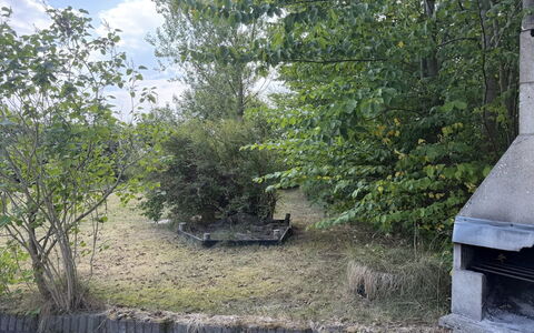 Hedwig - 120M to the Fjord: Struik, Tuin, Woody Plant, Backyard, Landscaping, Evergreen
