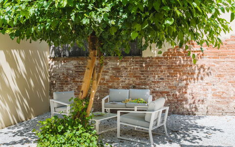 Contemporary House: Blad, Buitenmeubels, Meubilair, Struik, Tuin, Schaduw, De Lente, Stoel, Backyard