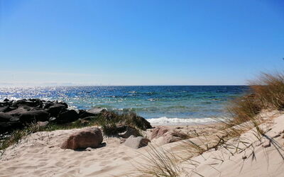 Jasper - 100M from the Sea