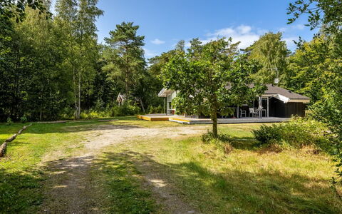 Naninja - 924M from the Sea: Boom, Gras, Groen, Blad, Afdeling, Vegetation, Struik, Huis, Huis
