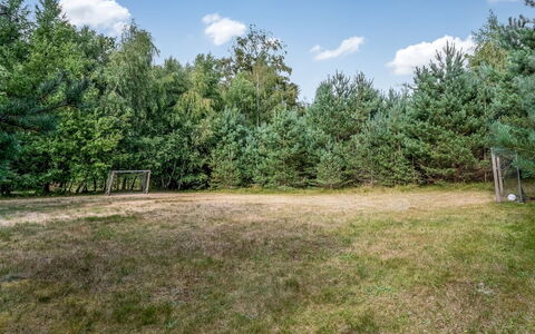 Carlina - from the Sea: Boom, Gras, Land Lot, Weide, Pasture, Bos, Lariks, Gazon, Evergreen