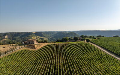 Tenuta Orsini 9+3