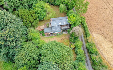 Hollybush Studio: Boom, Vegetation, Landschap, Huis, Landelijk Gebied, Struik, Dak, Verblijf, Huis, Plantengemeenschap