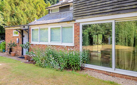 Hollybush Studio: Huis, Huis, Struik, Woongebied, Dak, Verblijf, Deur, Land Lot, Landgoed, Tuin