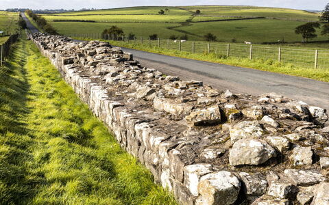 North View Annexe: Felsen\, Stenen Muur, Landschap, Landelijk Gebied, Bedrock, Cobblestone, Trail, Steppe