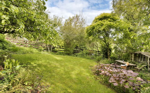 Bourne Edge: Gras, Vegetation, Struik, Tuin, Plantengemeenschap, Grasland, Groundcover, Land Lot, De Lente