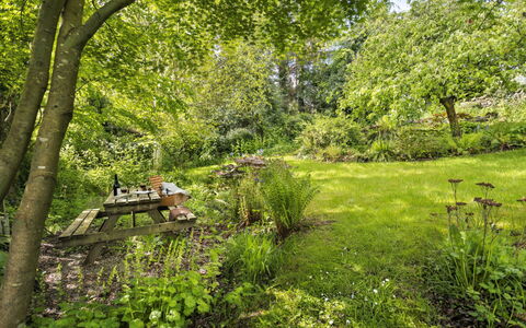 Bourne Edge: Groen, Boom, Blad, Natuur, Natuurlijke Omgeving, Gras, Afdeling, Vegetation, Natuurlijk Landschap
