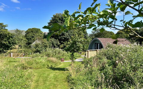 Whinfell Pod: Struik, Tuin, Land Lot, Wolk, Landelijk Gebied, Groundcover, Verblijf, De Lente, Weide, Gazon