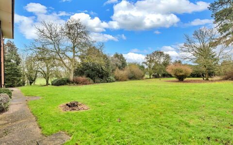 Clavering Hall: Boom, Gras, Struik, Grasland, Tuin, Plain, Land Lot, Gazon, Groundcover