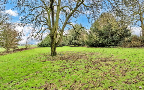 Clavering Hall: Groen, Gras, Boom, Natuurlijke Omgeving, Afdeling, Blad, Grasland, Vegetation, Natuurlijk Landschap, Ecoregio