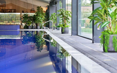 The Glass House at the Lakes by Yoo: Zwembad, Bloempot, Toevlucht, Kamerplant, Schaduw, Eco Hotel, Hotel, Ontwerp, Binnenplaats, Waterpartij