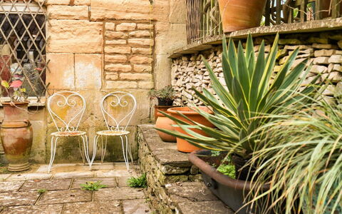 Aarons: Bloempot, Kamerplant, Flagstone, Steen, Tuin, Stoel, Buitenmeubels, Stenen Muur, Landscaping, Backyard