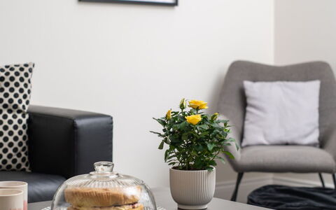 Field View: Meubilair, Interieur Ontwerp, Bankstel, Huis, Woonkamer, Tafel, Kussen, Textiel, Kussen Gooien, Flooring