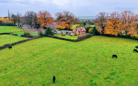 Cricketers' Cottage: Gras, Groen, Grasland, Landschap, Landelijk Gebied, Plain, Land Lot, Pasture, Weide, Veld