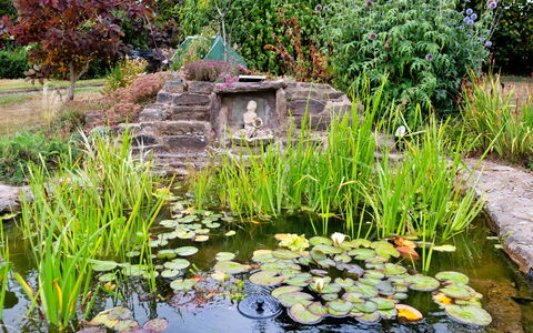 New Lodge Granary: Groen, Tuin, Vijver, Struik, Groundcover, Waterpartij, Visvijver