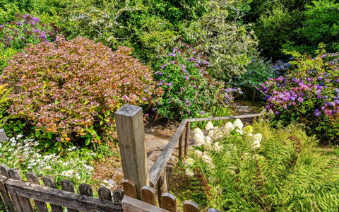 Millook Water: Bloem, Groen, Blad, Vegetation, Tuin, Struik, Plantengemeenschap, Groundcover, Roze, De Lente