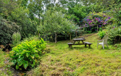 Millook Water: Natuur, Vegetation, Struik, Tuin, Plantengemeenschap, Land Lot, Groundcover, Landelijk Gebied, De Lente