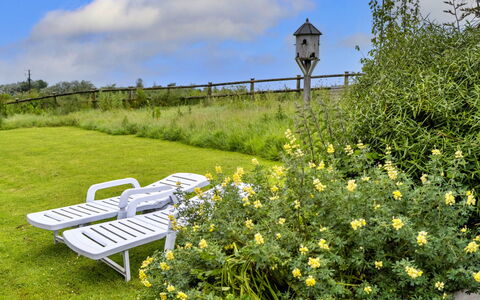 Goose, Quinceborough Farm: Geel, Struik, Grasland, Land Lot, Weide, Tuin, Verblijf, Prairie, Wildflower
