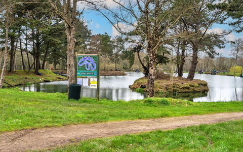 Pine Forest Lodge: Water, Natuur, Bank, Waterloop, Vijver, Meer, Natuurgebied, Reservoir, Park