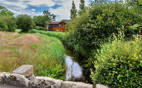 Stargazey: Gras, Natuur, Natuurlijk Landschap, Vegetation, Waterloop, Struik, Waterweg, Plantengemeenschap, Landschap